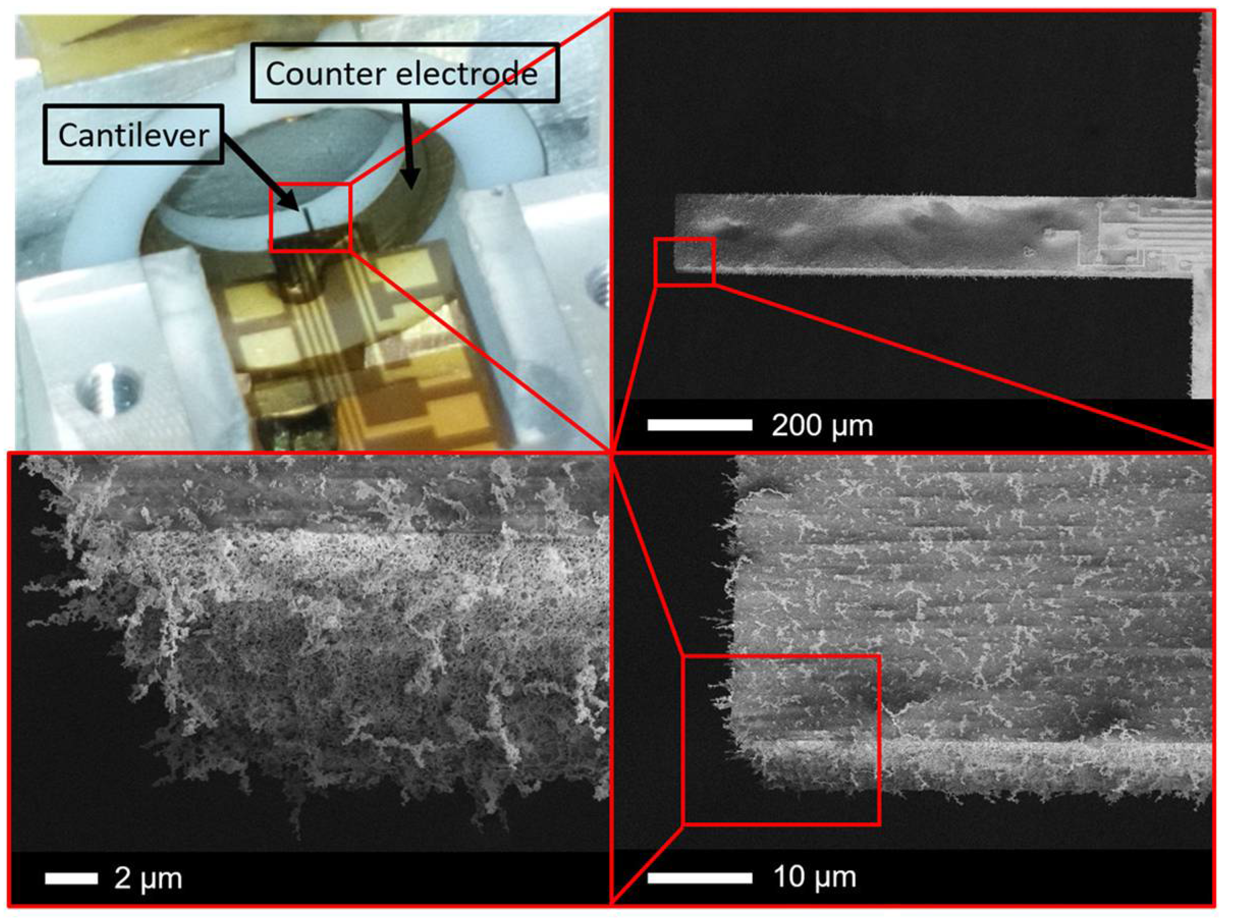 Proceedings 02 00879 g002