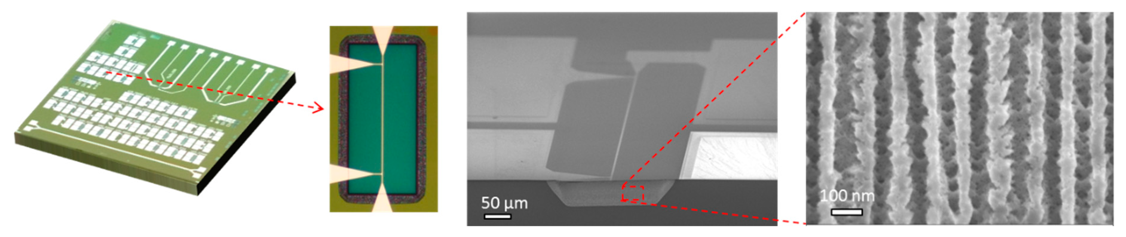 Proceedings 02 00883 g002