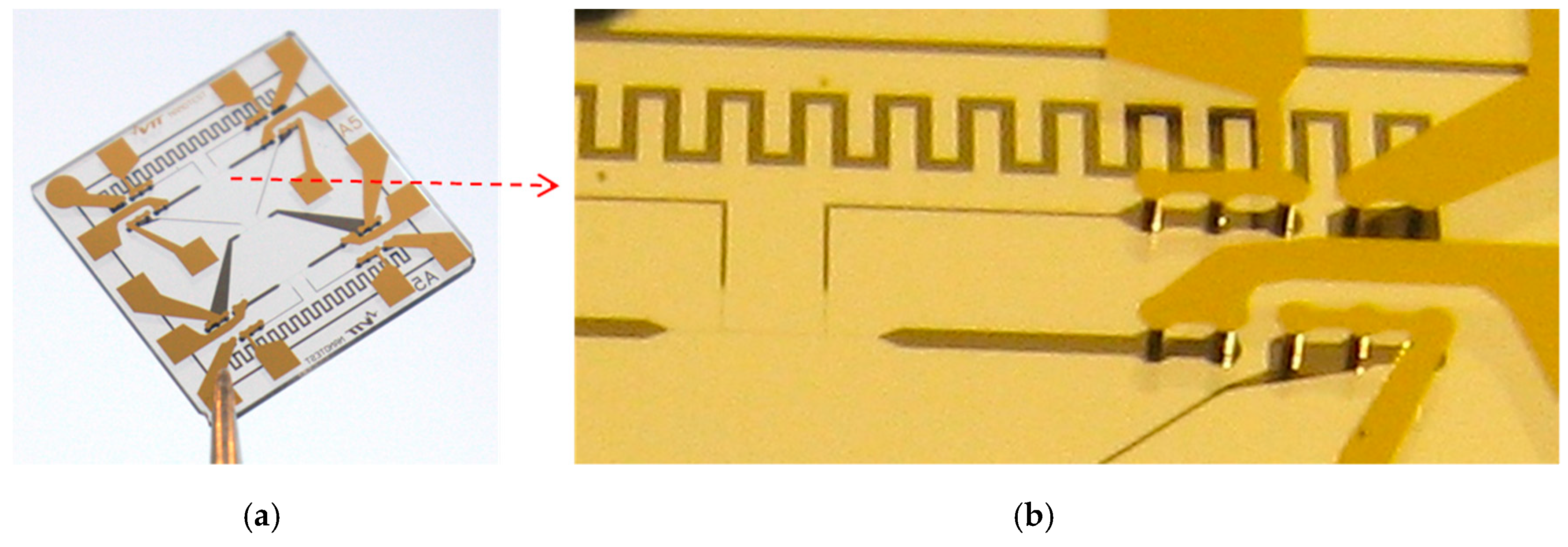 Proceedings 02 00883 g003