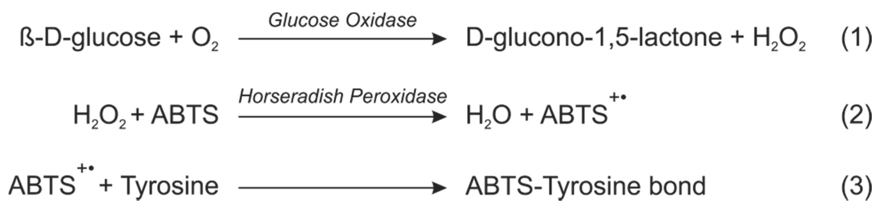 Proceedings 02 00886 g001