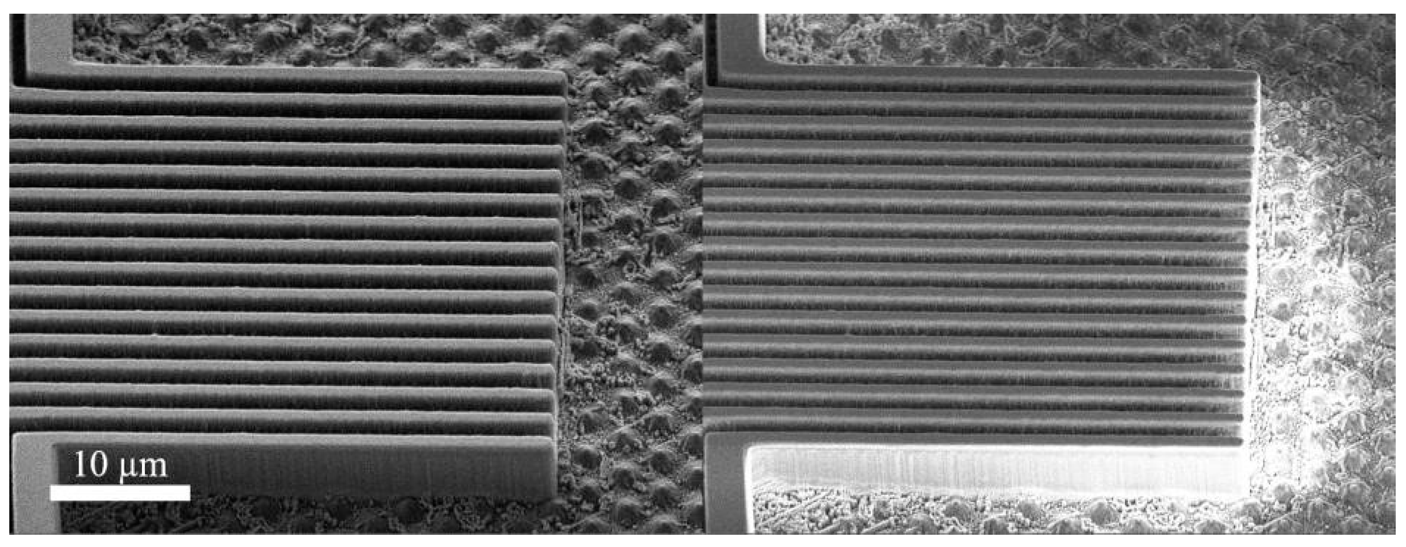 Proceedings 02 00892 g003