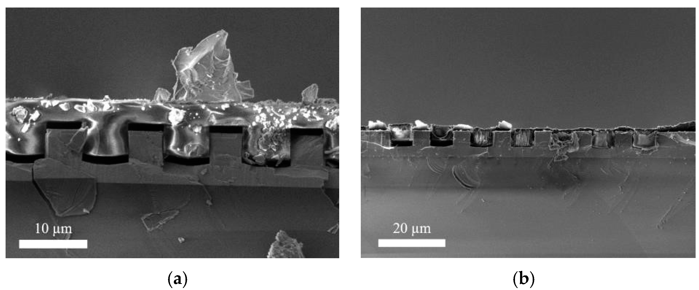 Proceedings 02 00892 g004