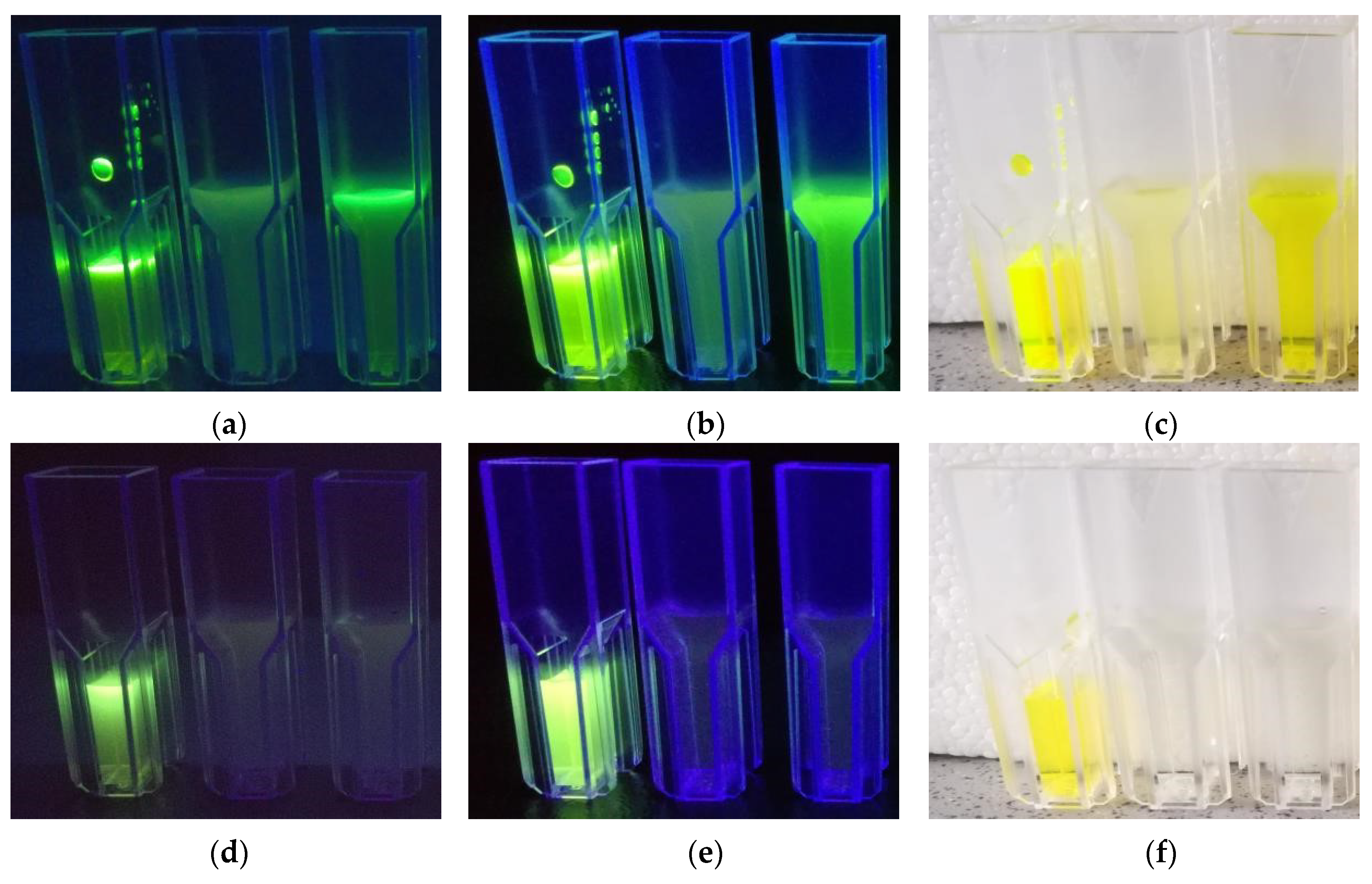 Proceedings 02 00895 g002