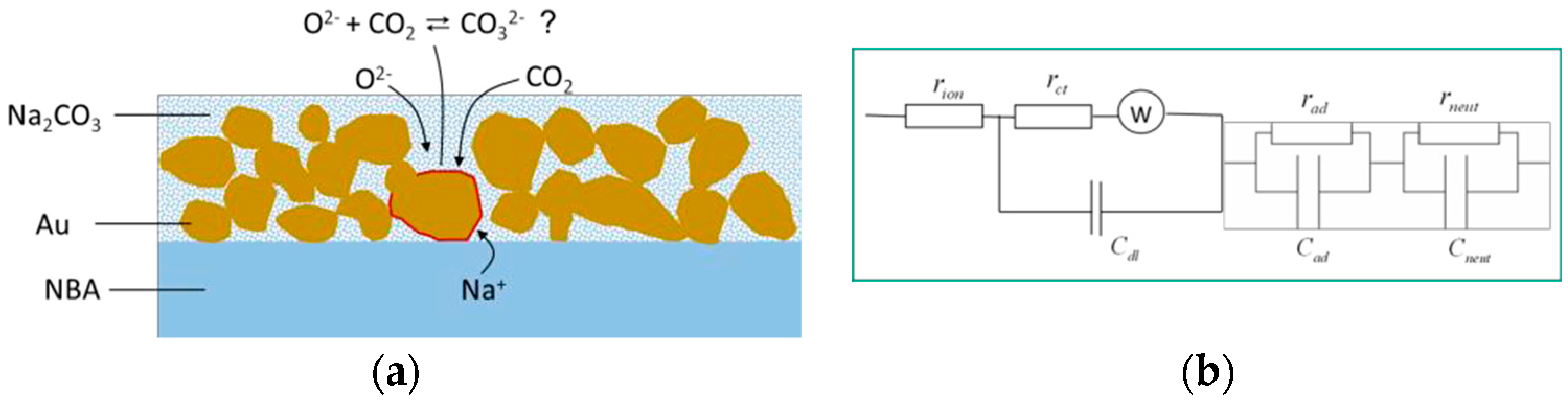 Proceedings 02 00903 g005