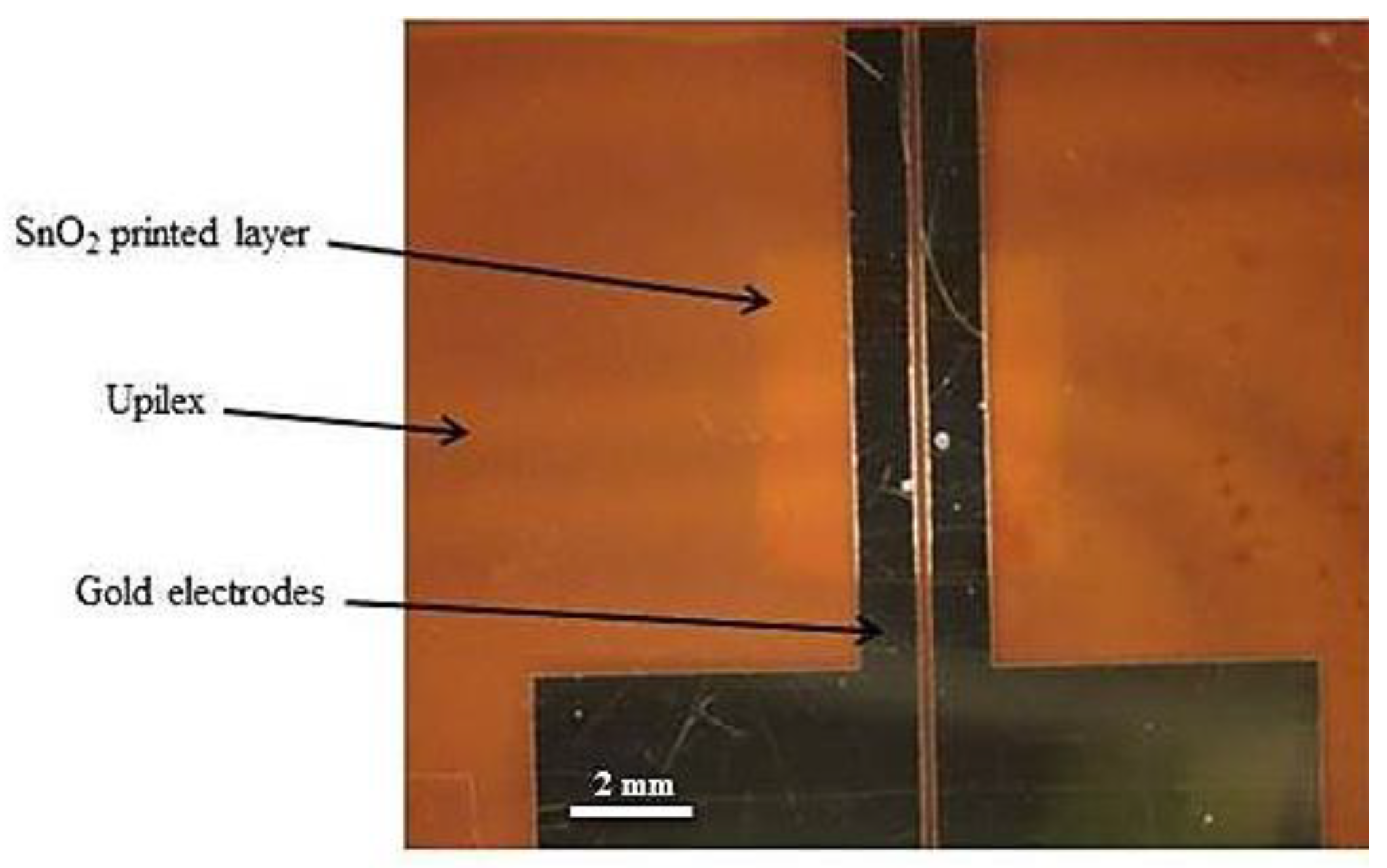 Proceedings 02 00907 g002