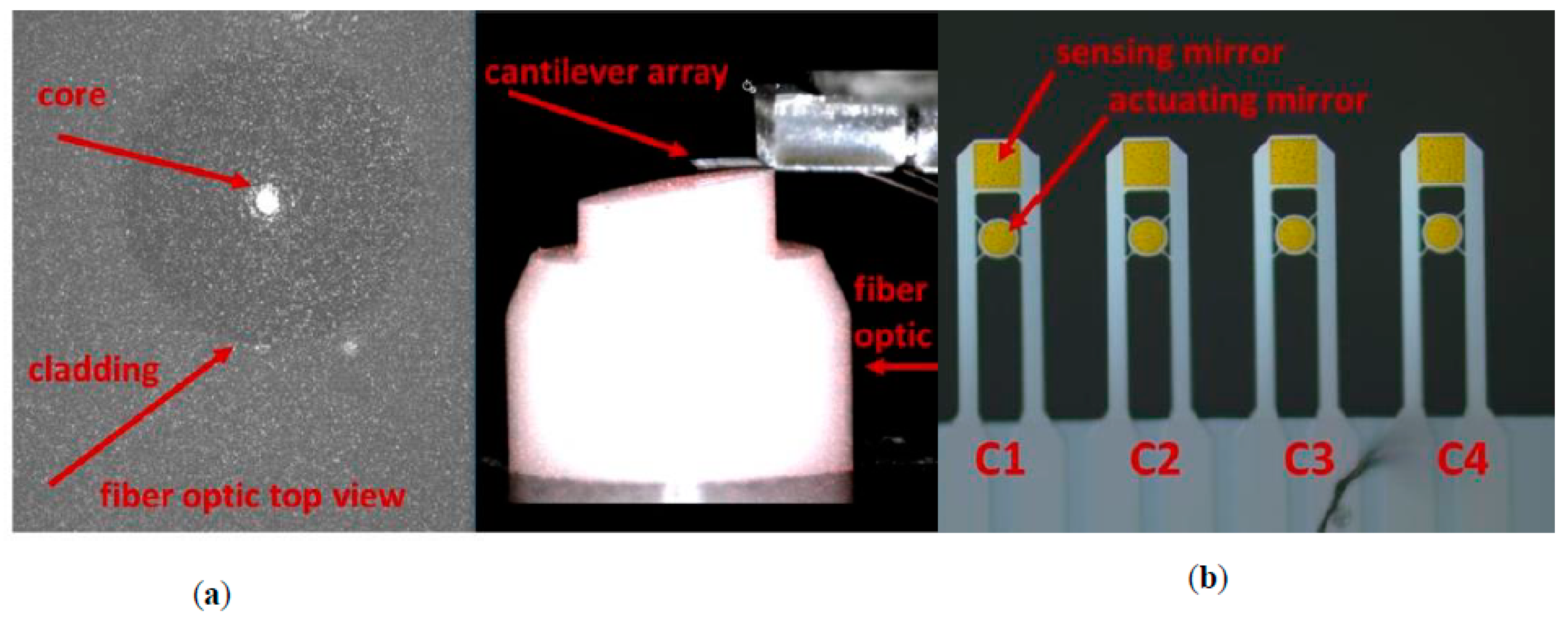 Proceedings 02 00921 g001 Proceedings 02 00921 g001