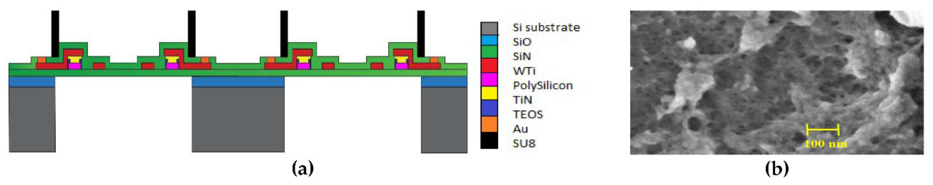 Proceedings 02 00927 g001