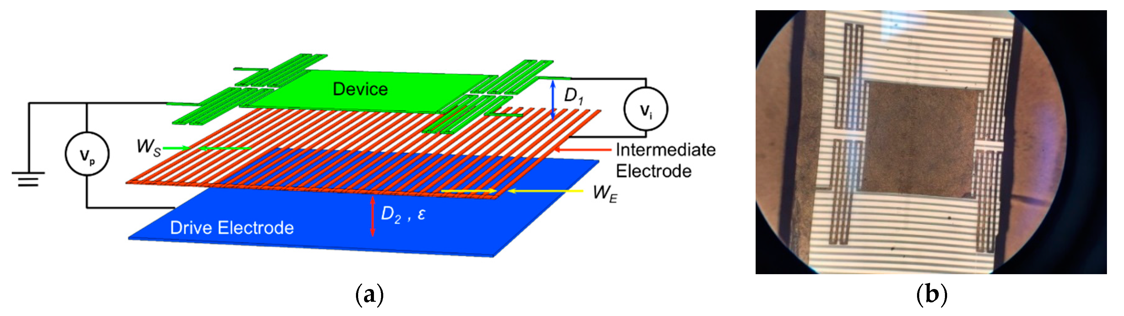 Proceedings 02 00928 g001