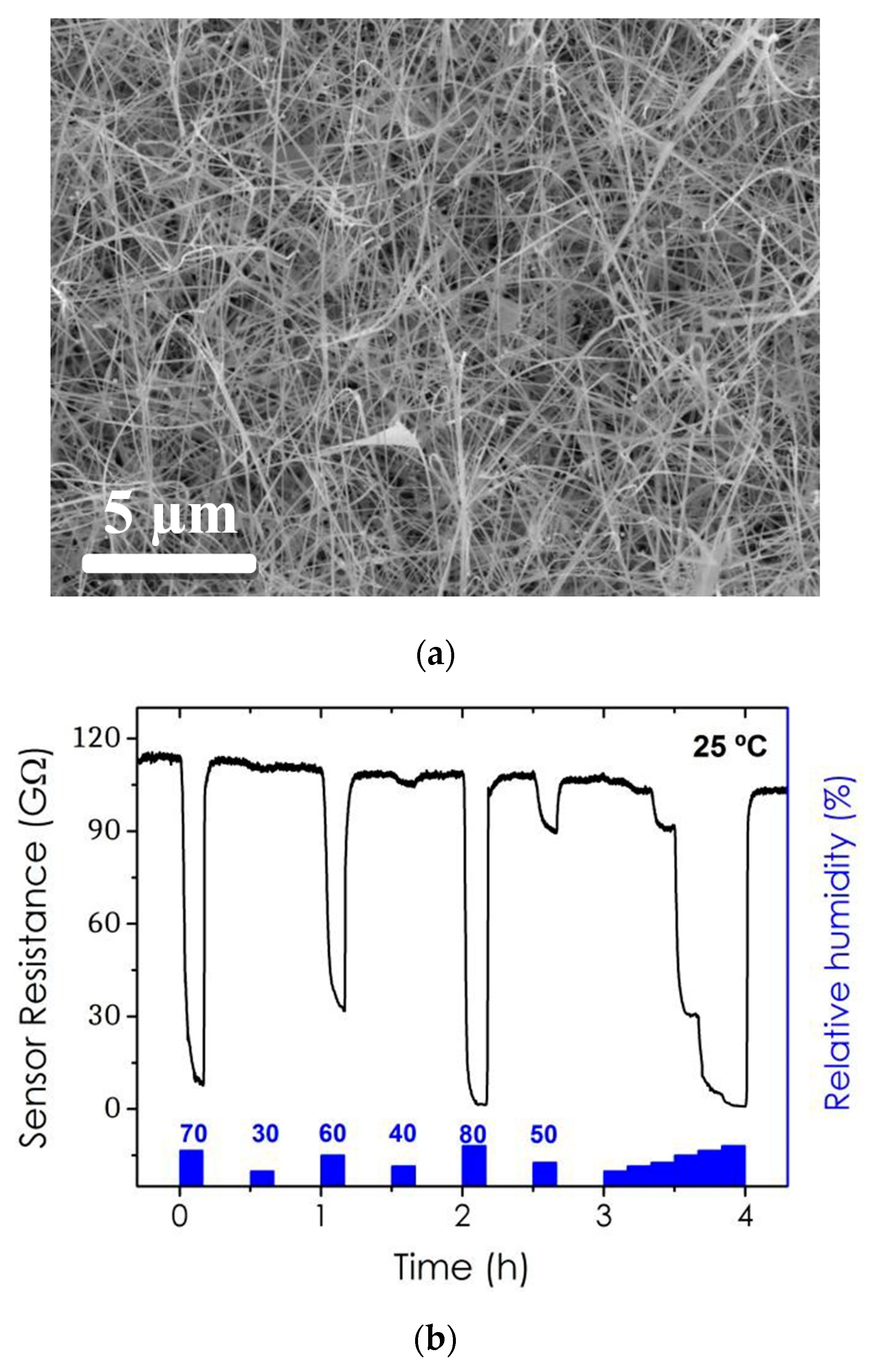 Proceedings 02 00958 g001