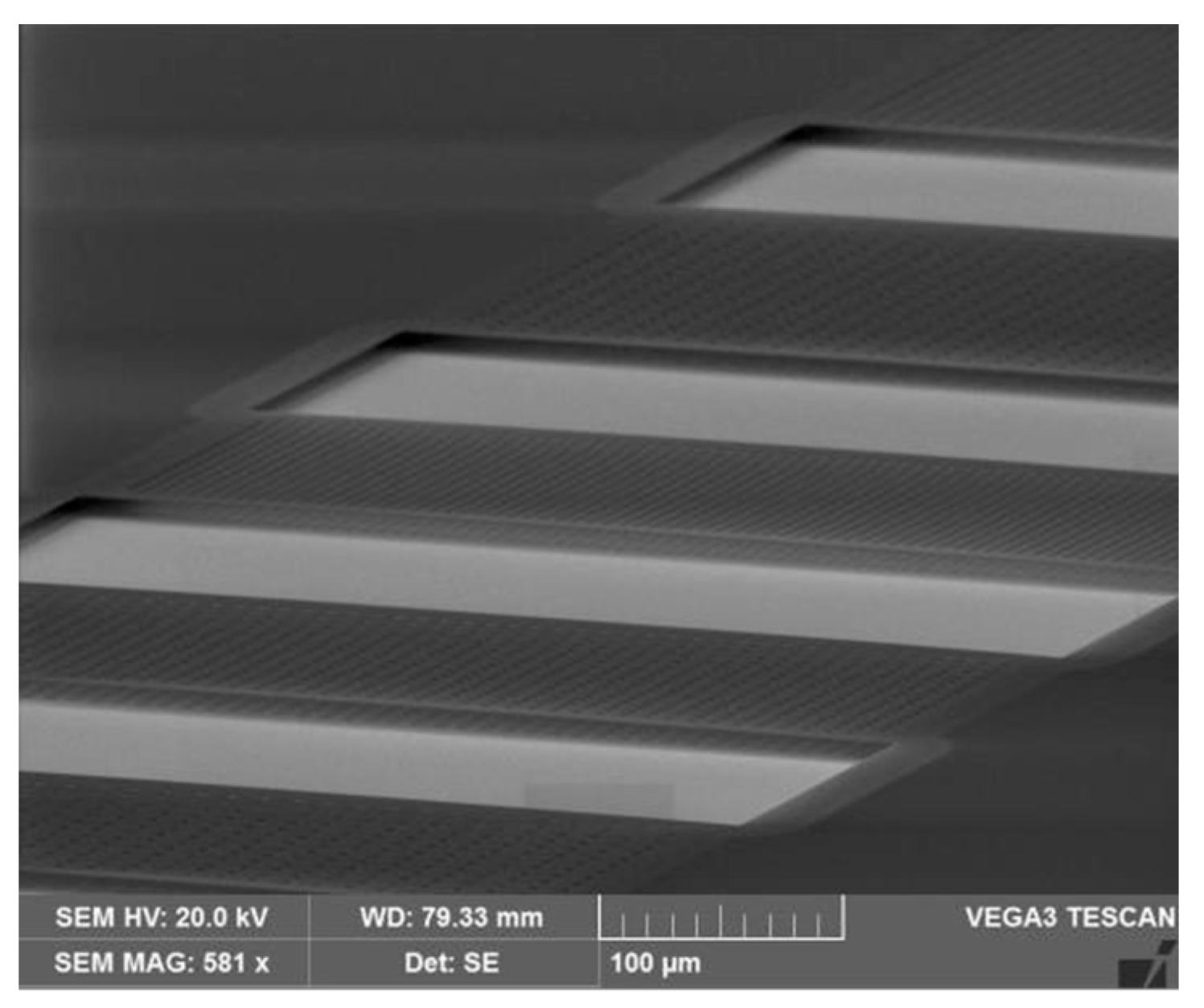 Proceedings 02 00968 g001