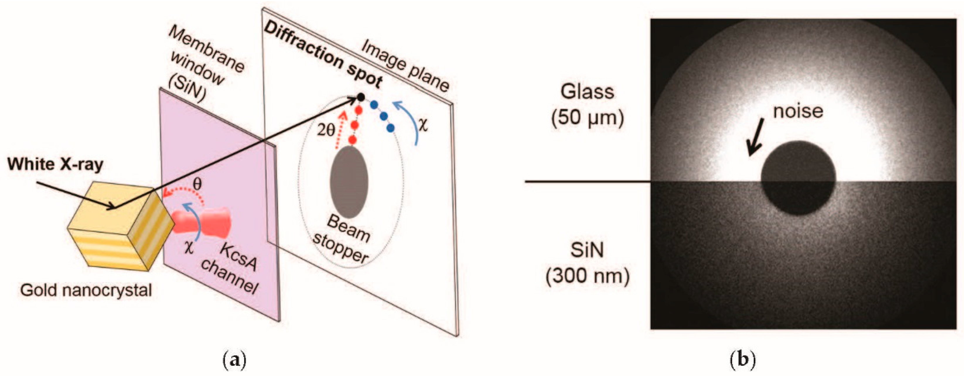 Proceedings 02 00972 g001