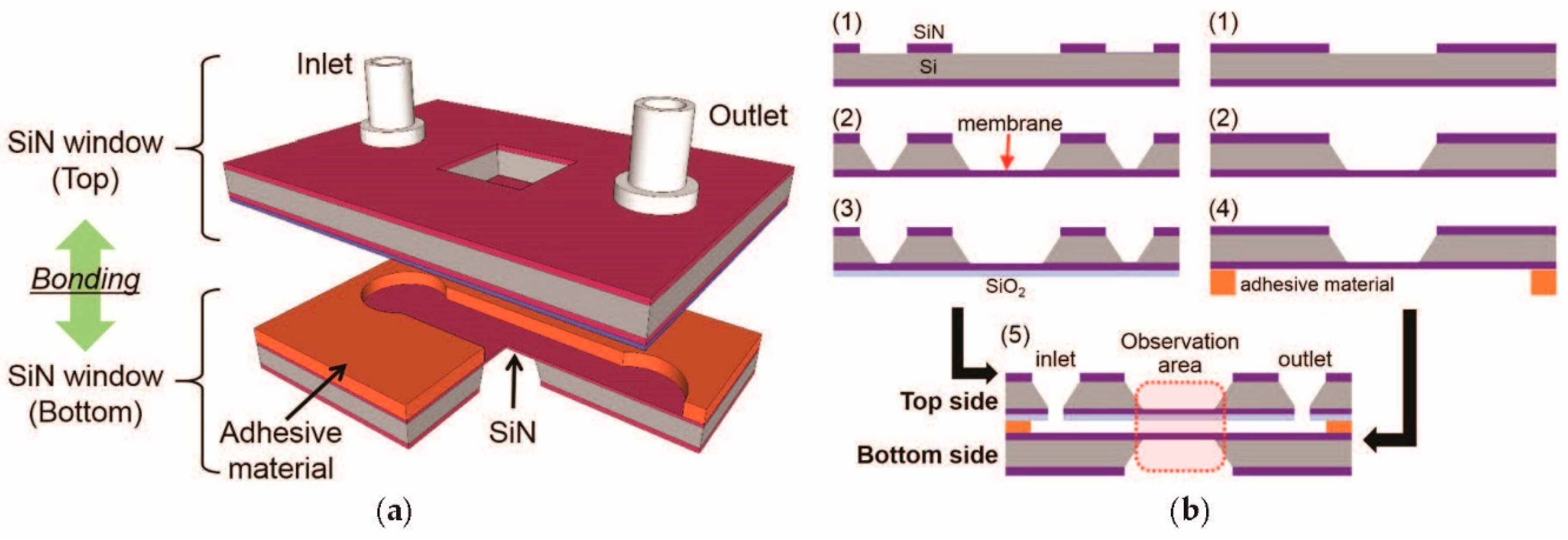 Proceedings 02 00972 g002