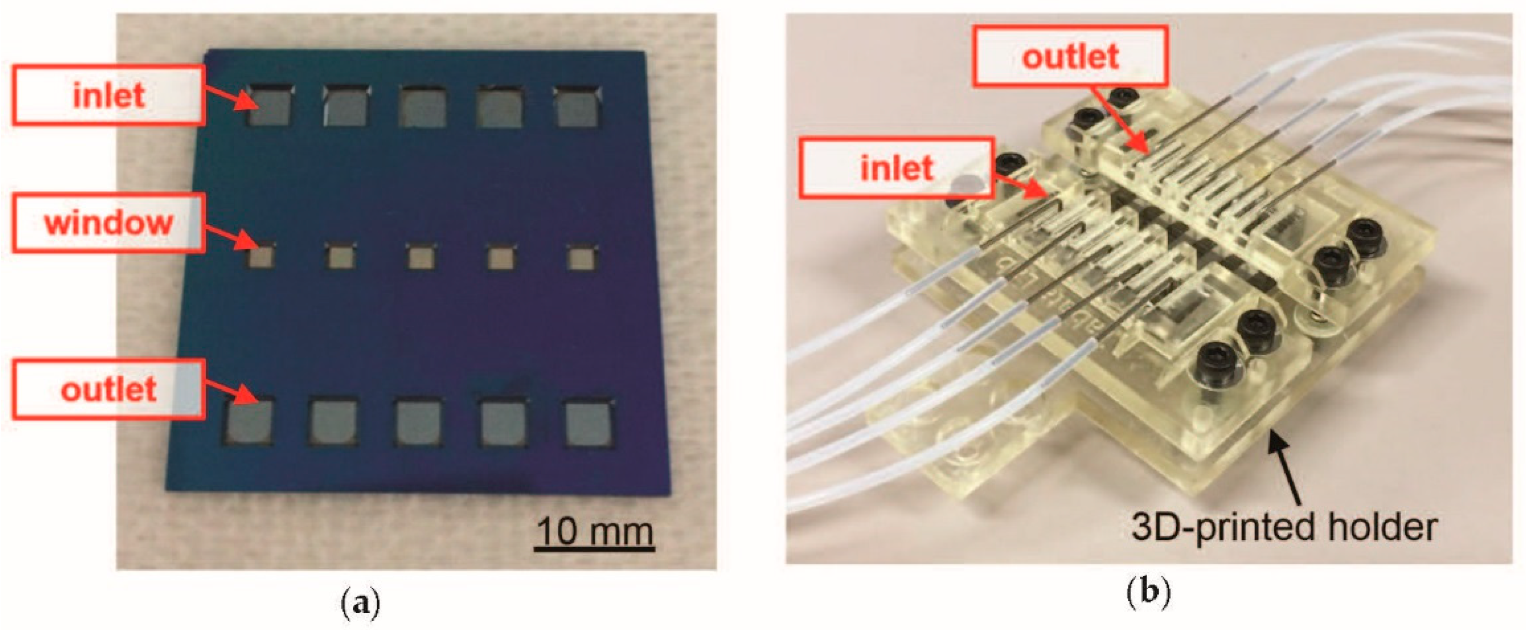 Proceedings 02 00972 g003