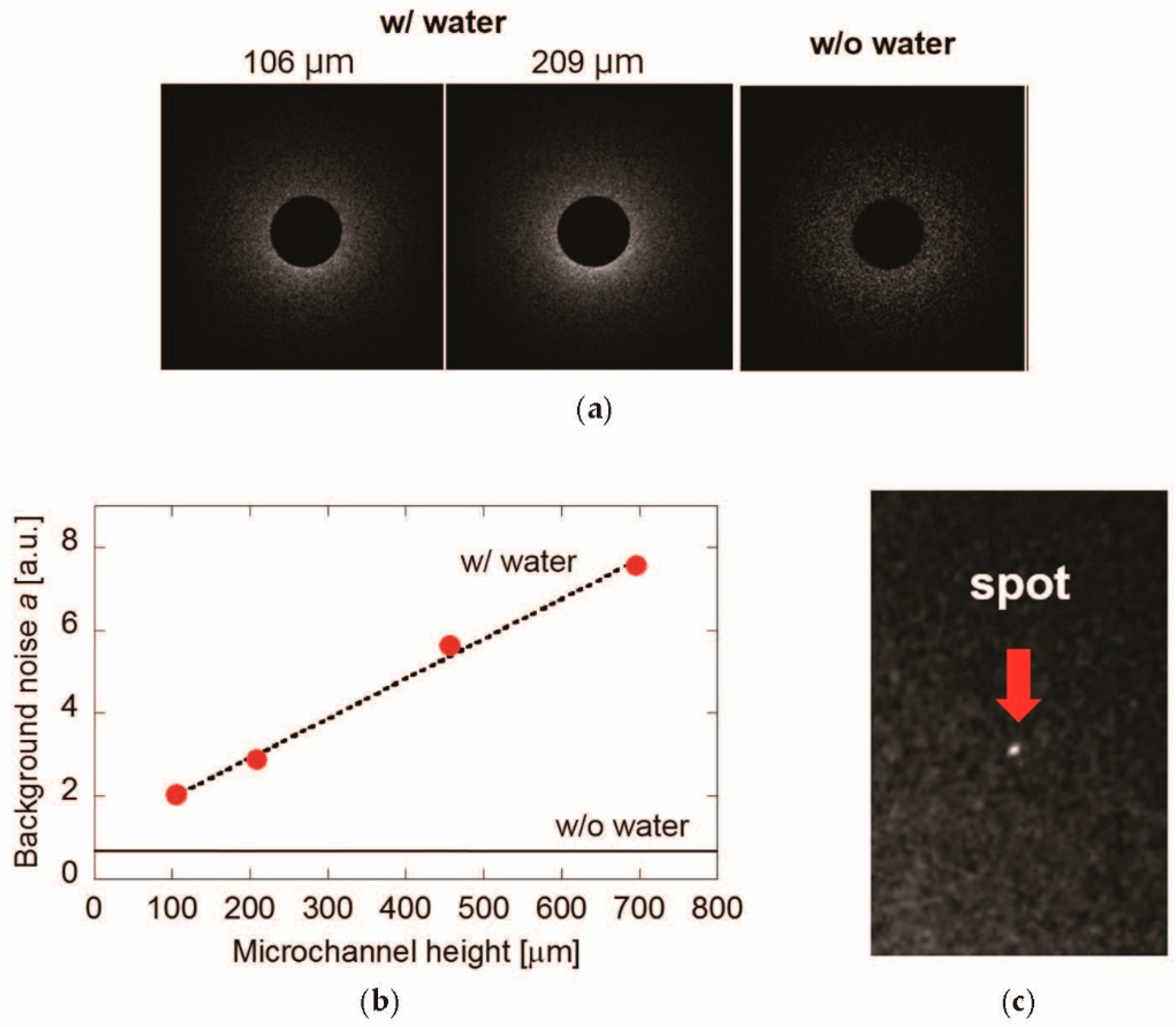 Proceedings 02 00972 g004