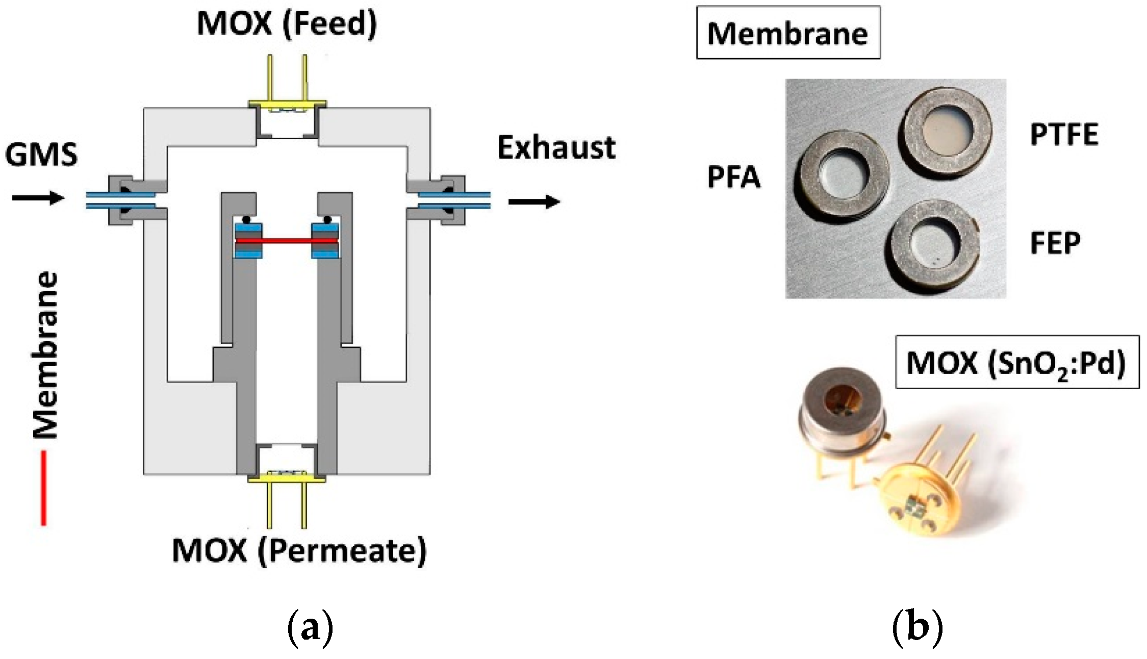 Proceedings 02 00979 g001