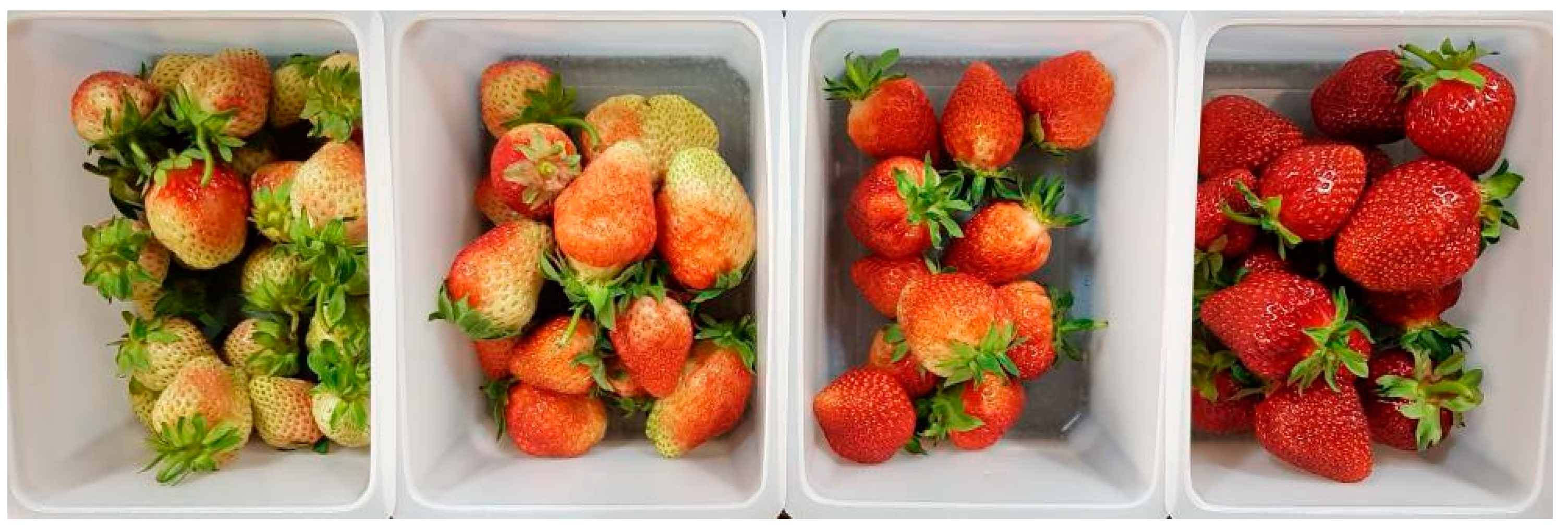 Proceedings 02 00980 g002