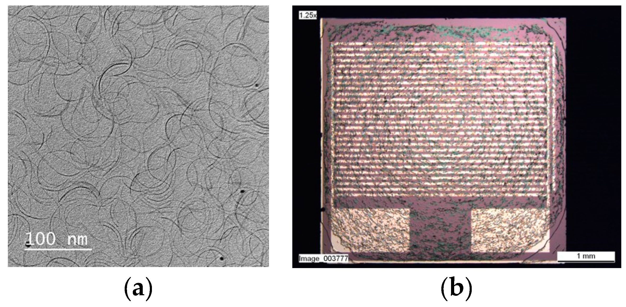 Proceedings 02 00983 g001