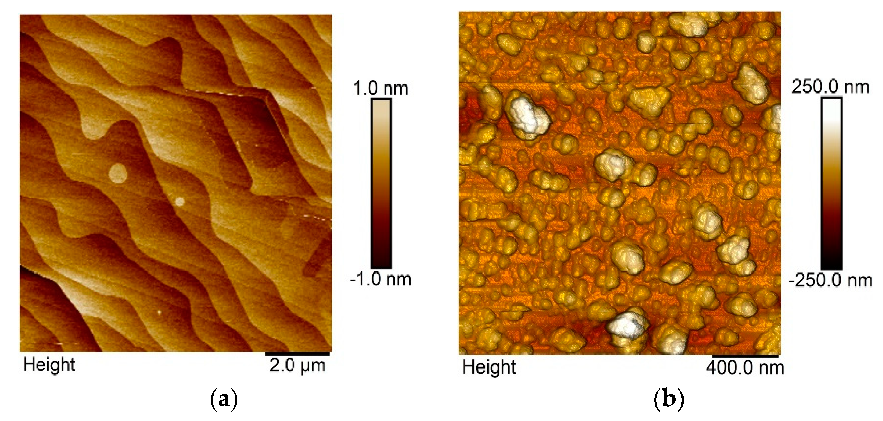 Proceedings 02 00985 g001