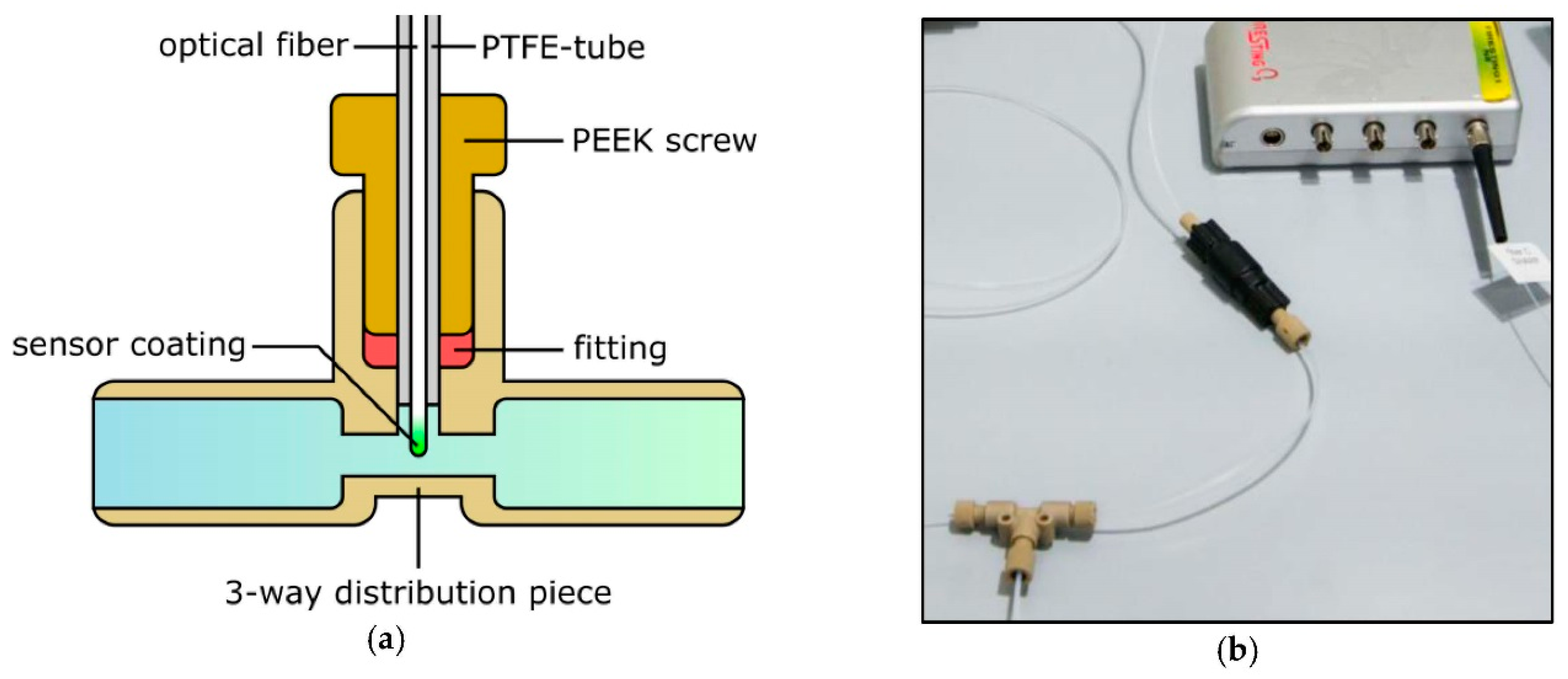 Proceedings 02 00994 g001