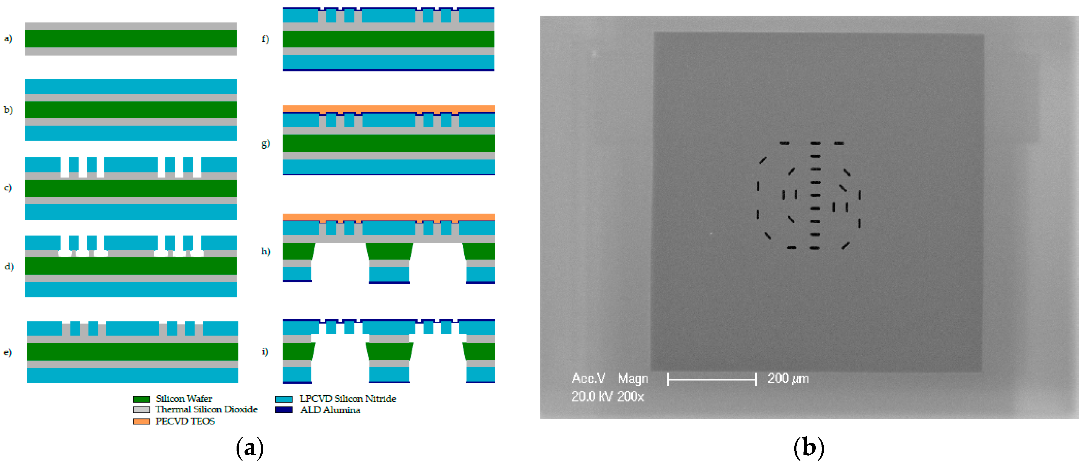 Proceedings 02 01001 g002