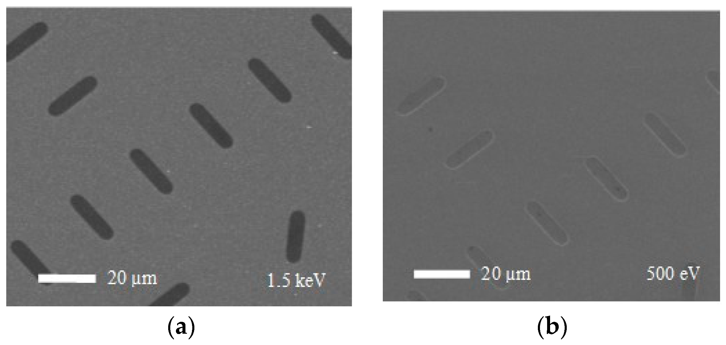 Proceedings 02 01001 g003