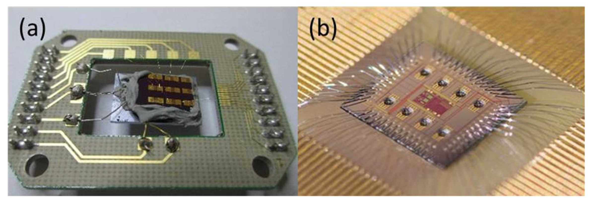 Proceedings 02 01012 g001