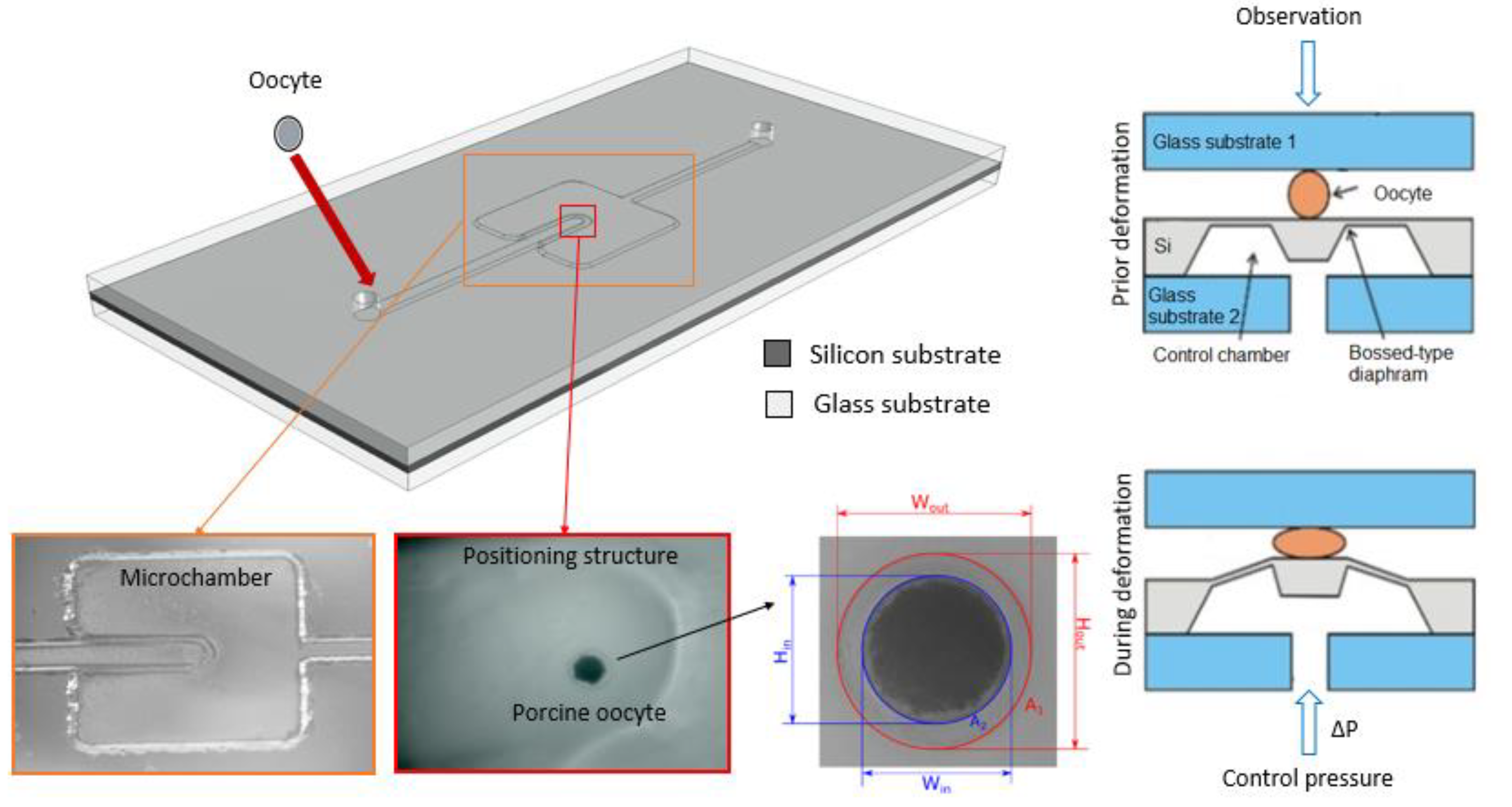 Proceedings 02 01015 g001