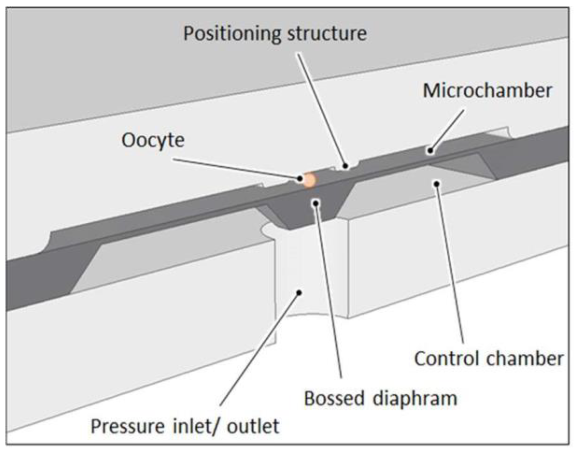 Proceedings 02 01015 g002