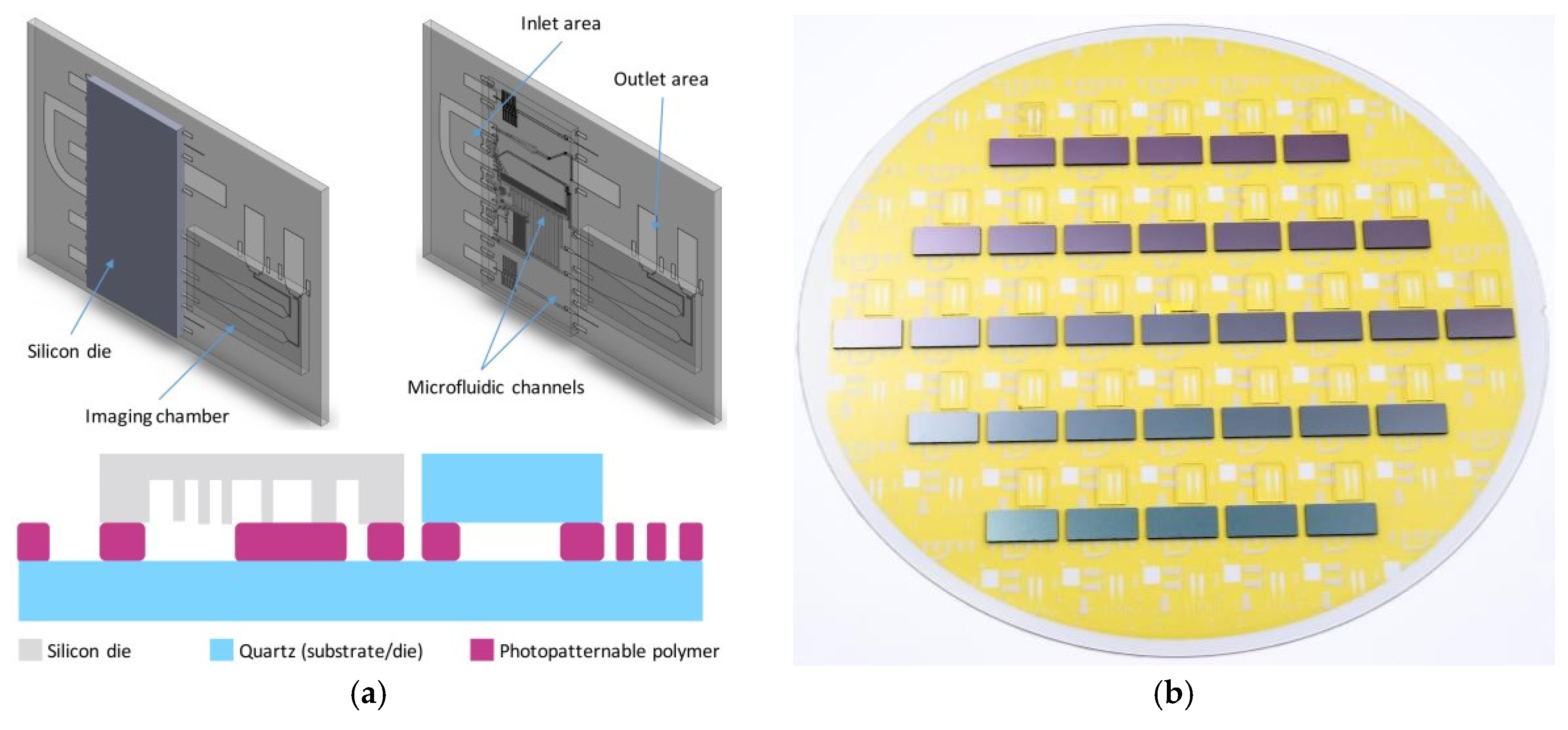 Proceedings 02 01018 g001