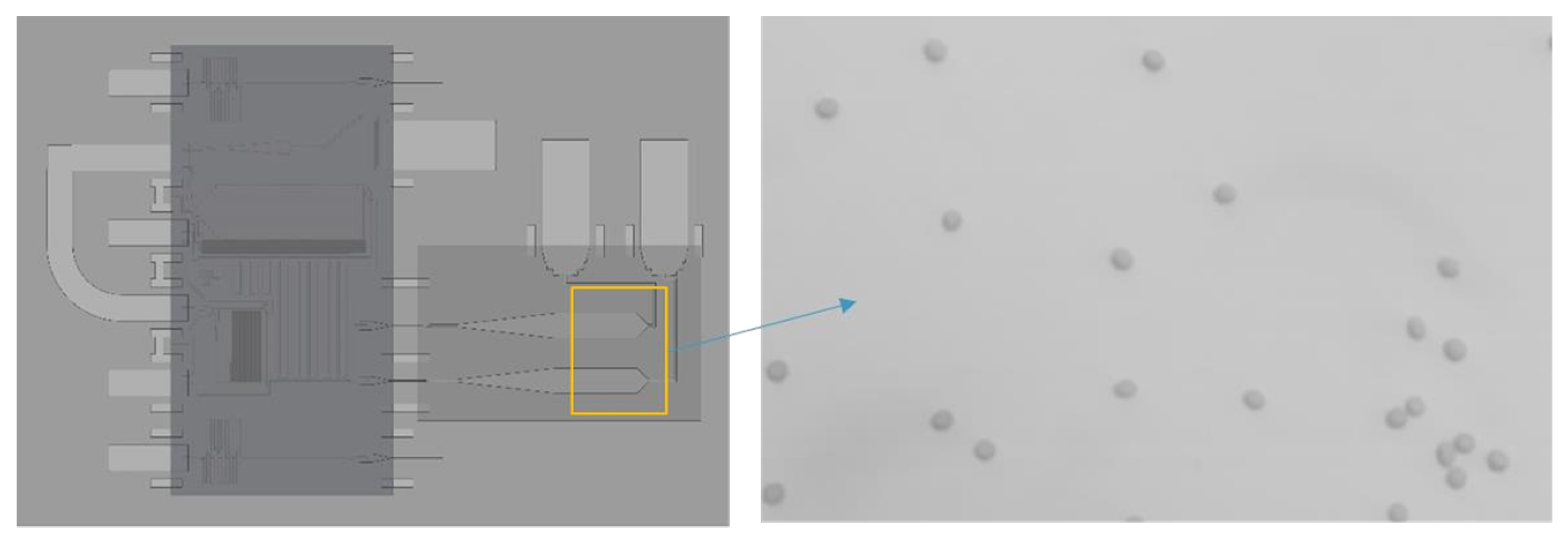 Proceedings 02 01018 g004