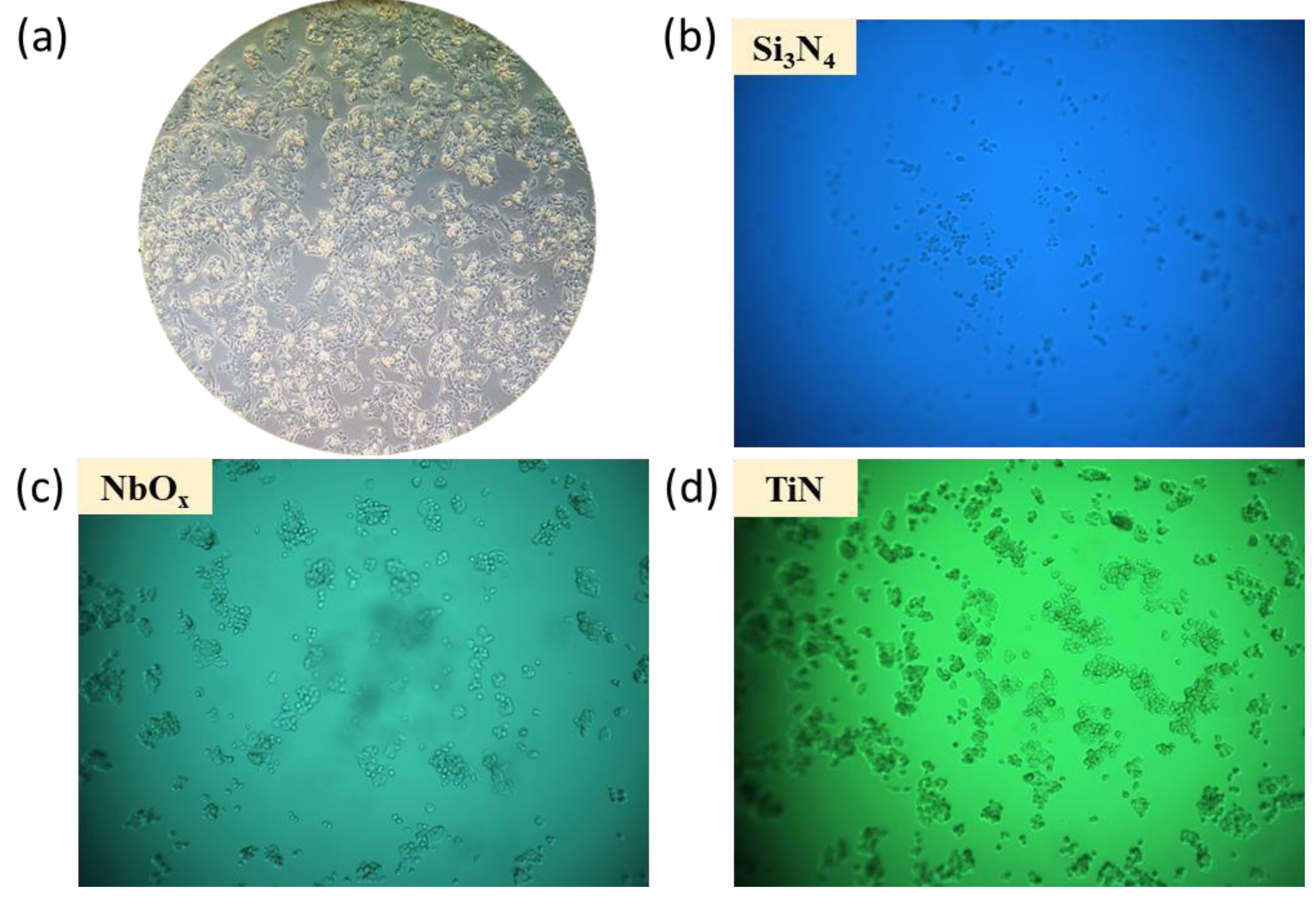 Proceedings 02 01021 g002