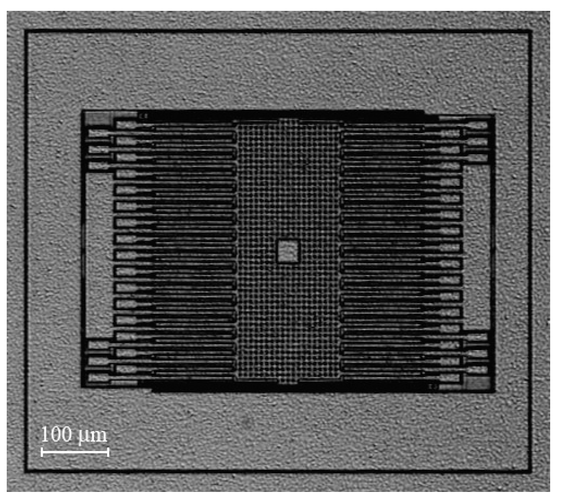 Proceedings 02 01029 g002