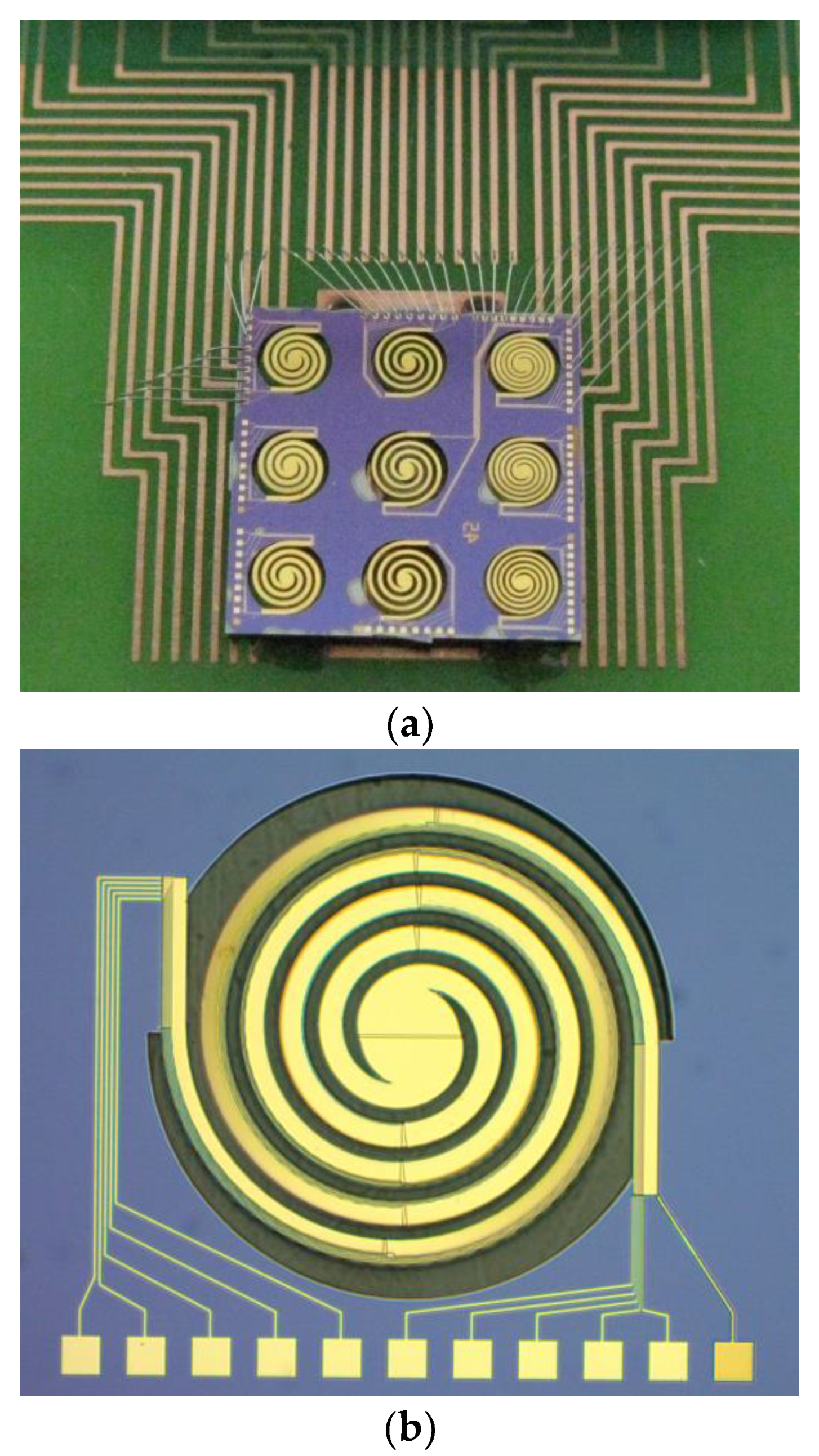 Proceedings 02 01059 g002