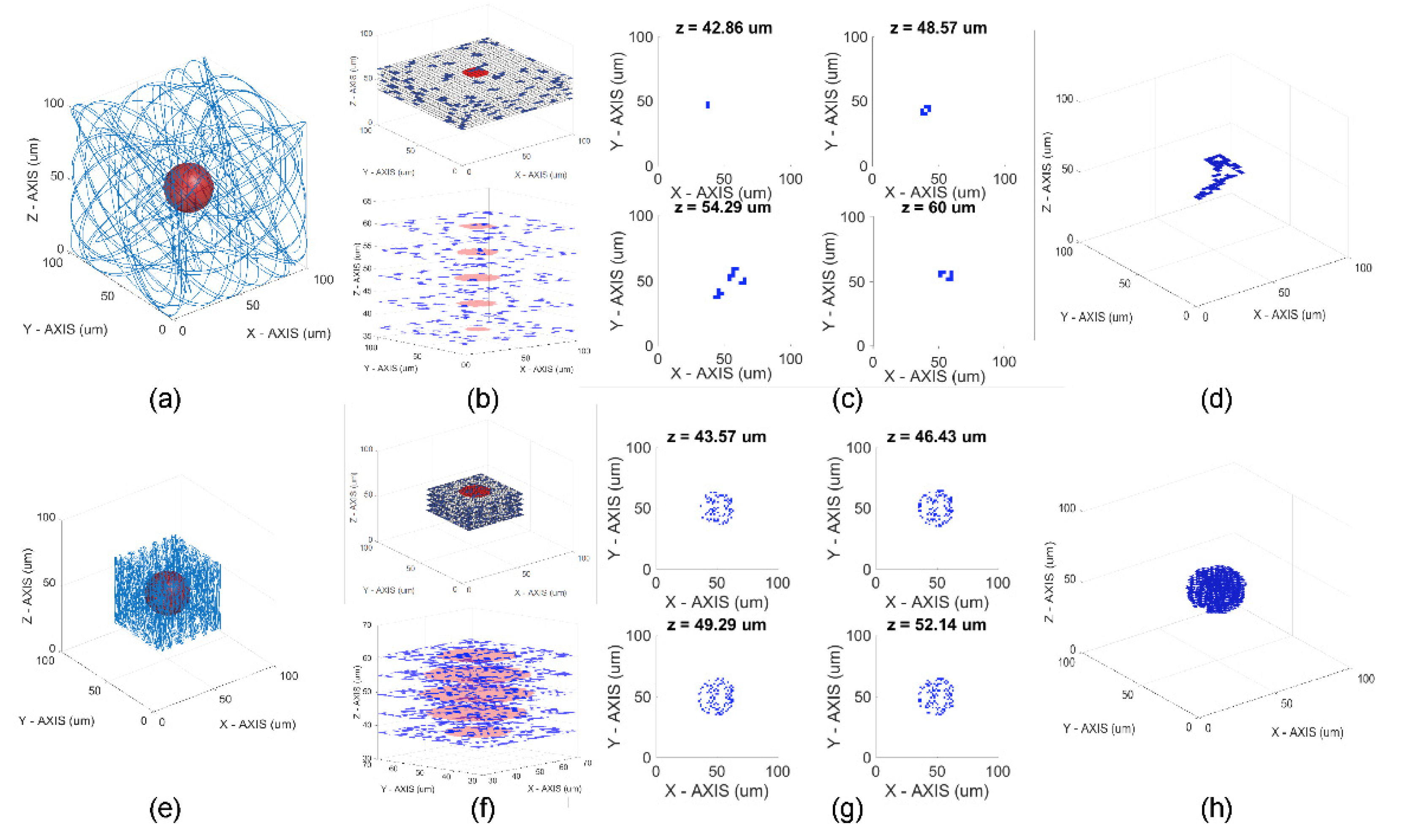 Proceedings 02 01067 g003