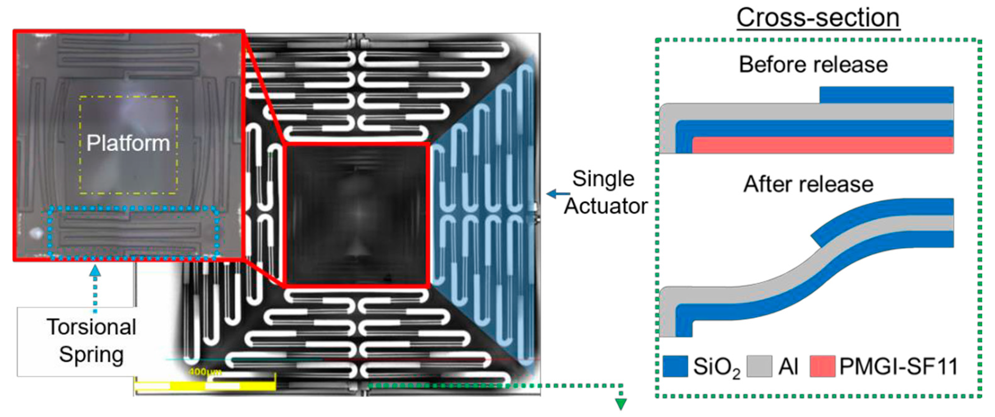 Proceedings 02 01072 g001