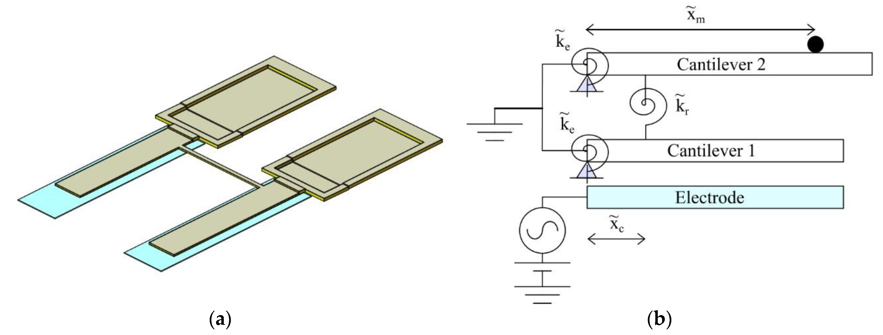 Proceedings 02 01084 g001
