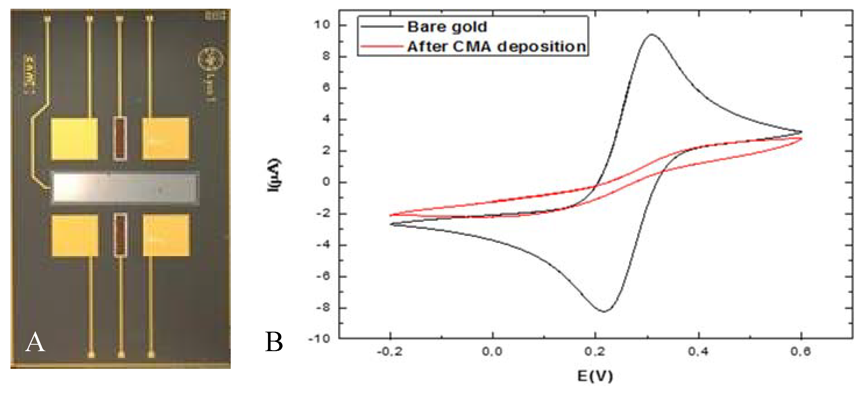 Proceedings 02 01085 g001