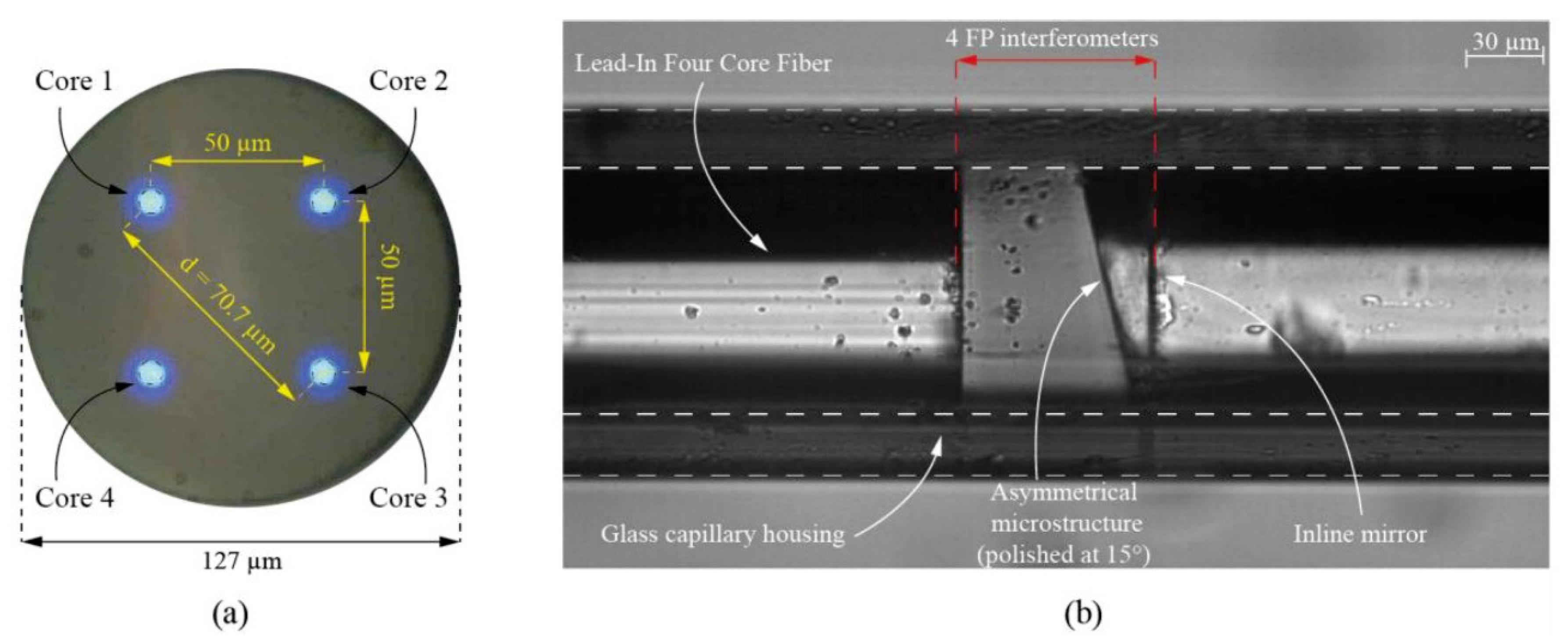 Proceedings 02 01091 g001