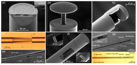 Proceedings 02 01095 g001 550