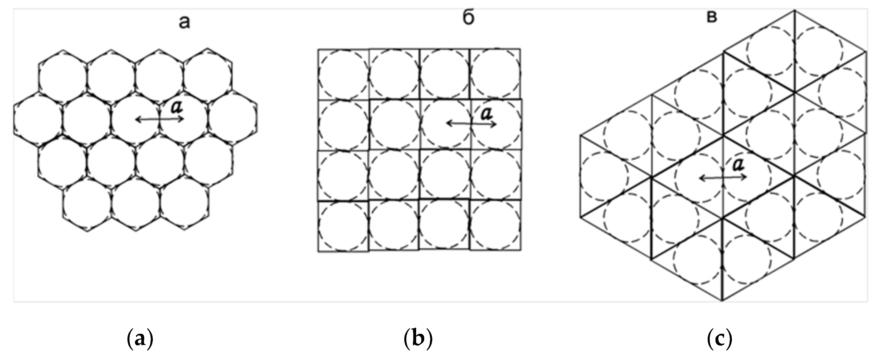 Proceedings 02 01117 g002
