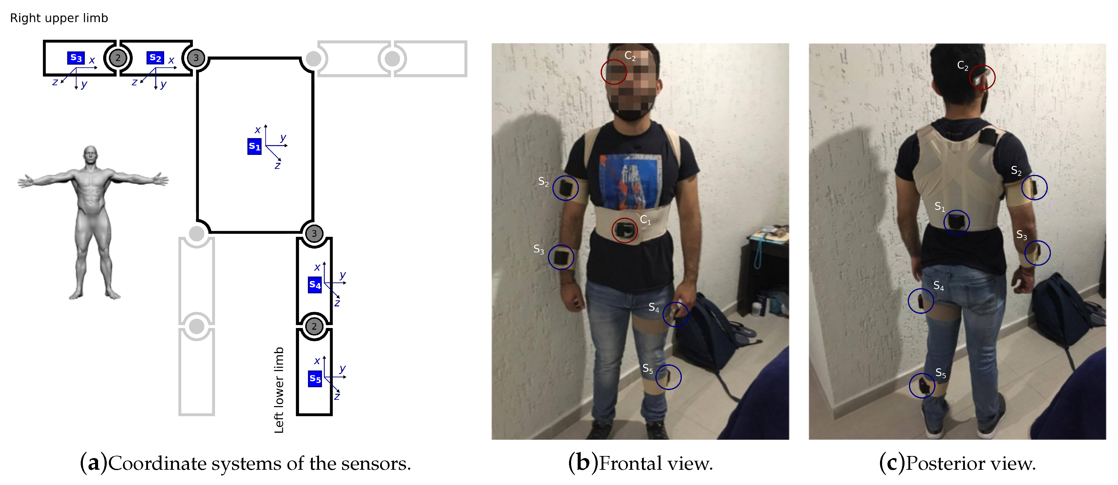 Proceedings 02 01238 g001