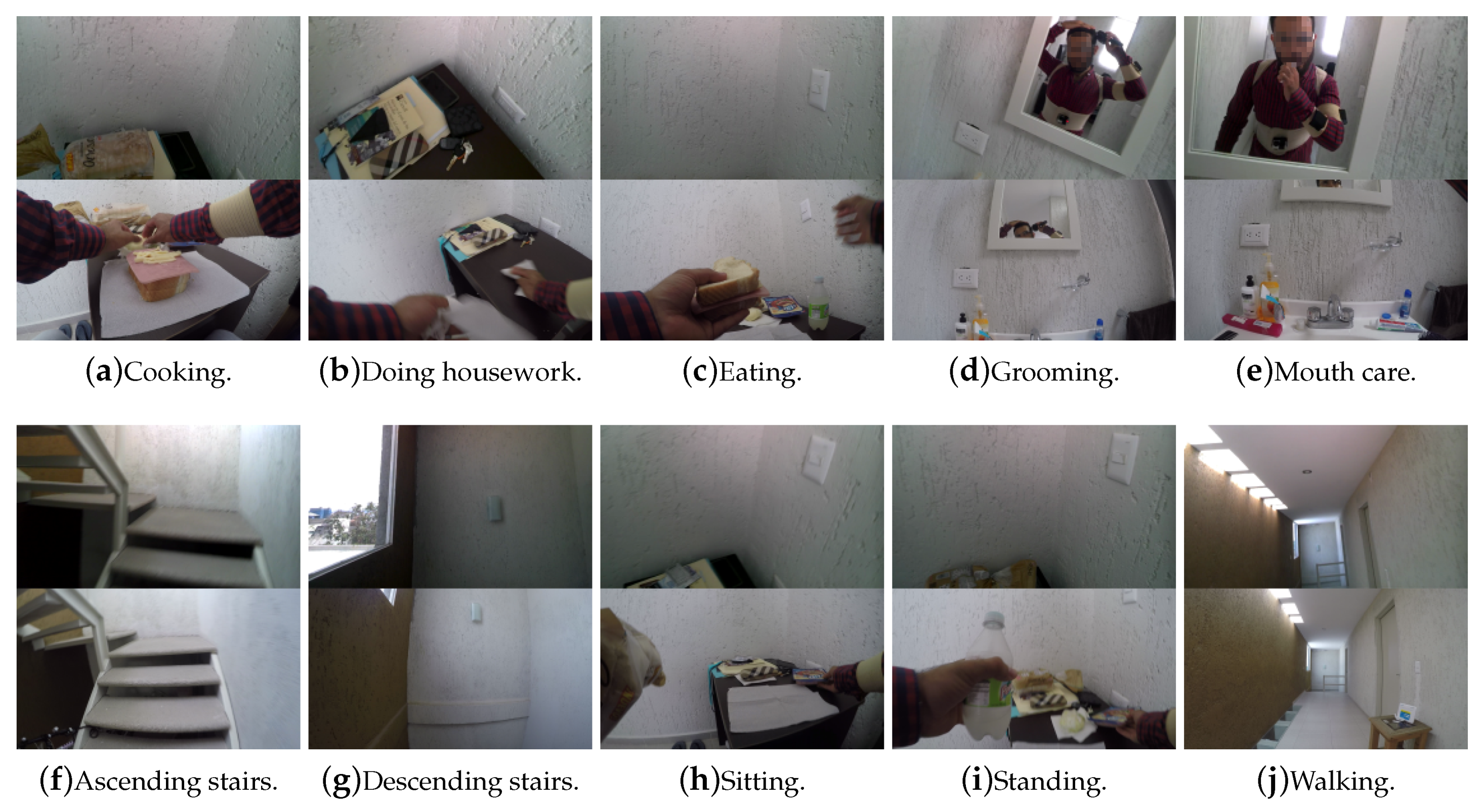 Proceedings 02 01238 g002