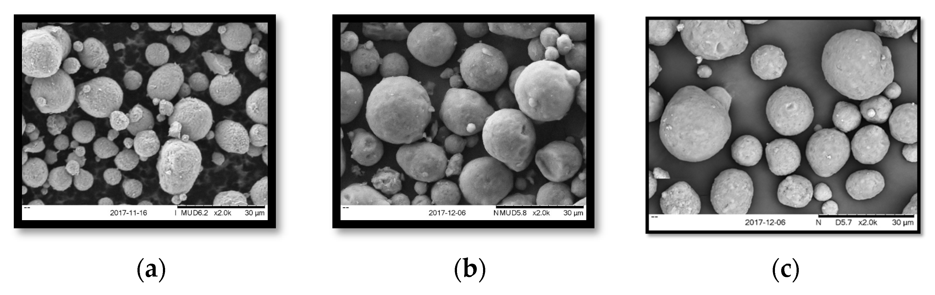 Proceedings 02 01273 g002