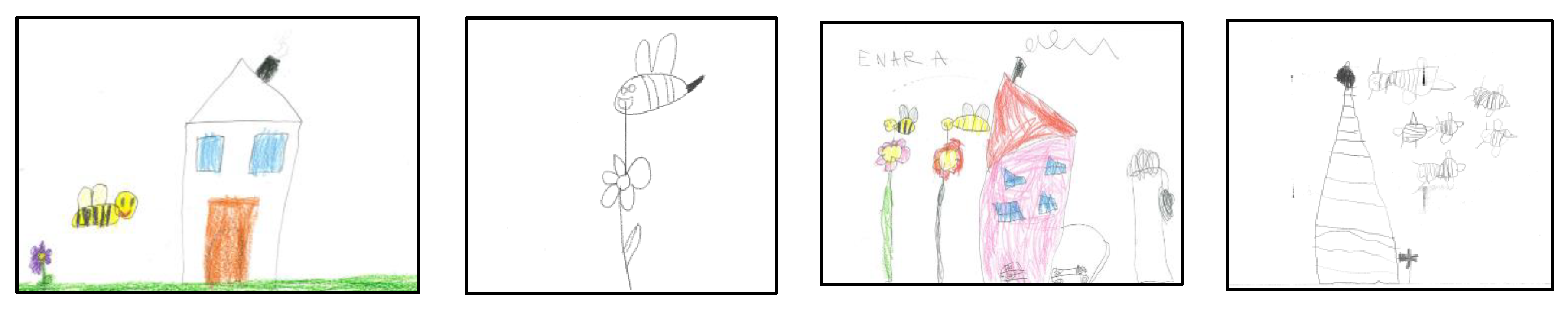 Proceedings 02 01351 g001