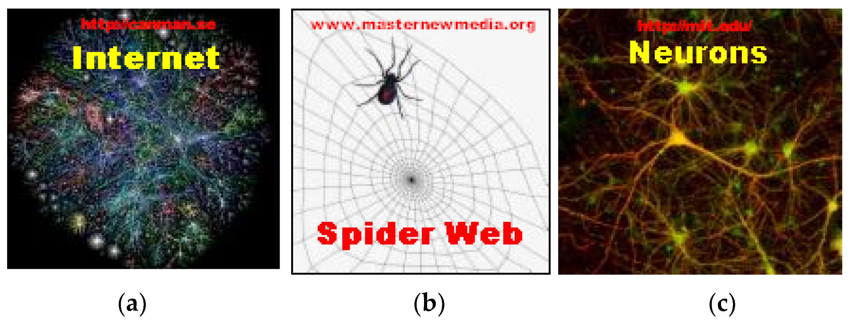 Proceedings 02 01366 g002