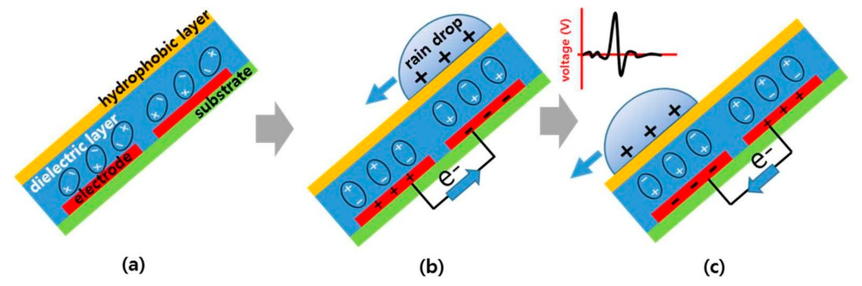 Proceedings 02 01393 g001