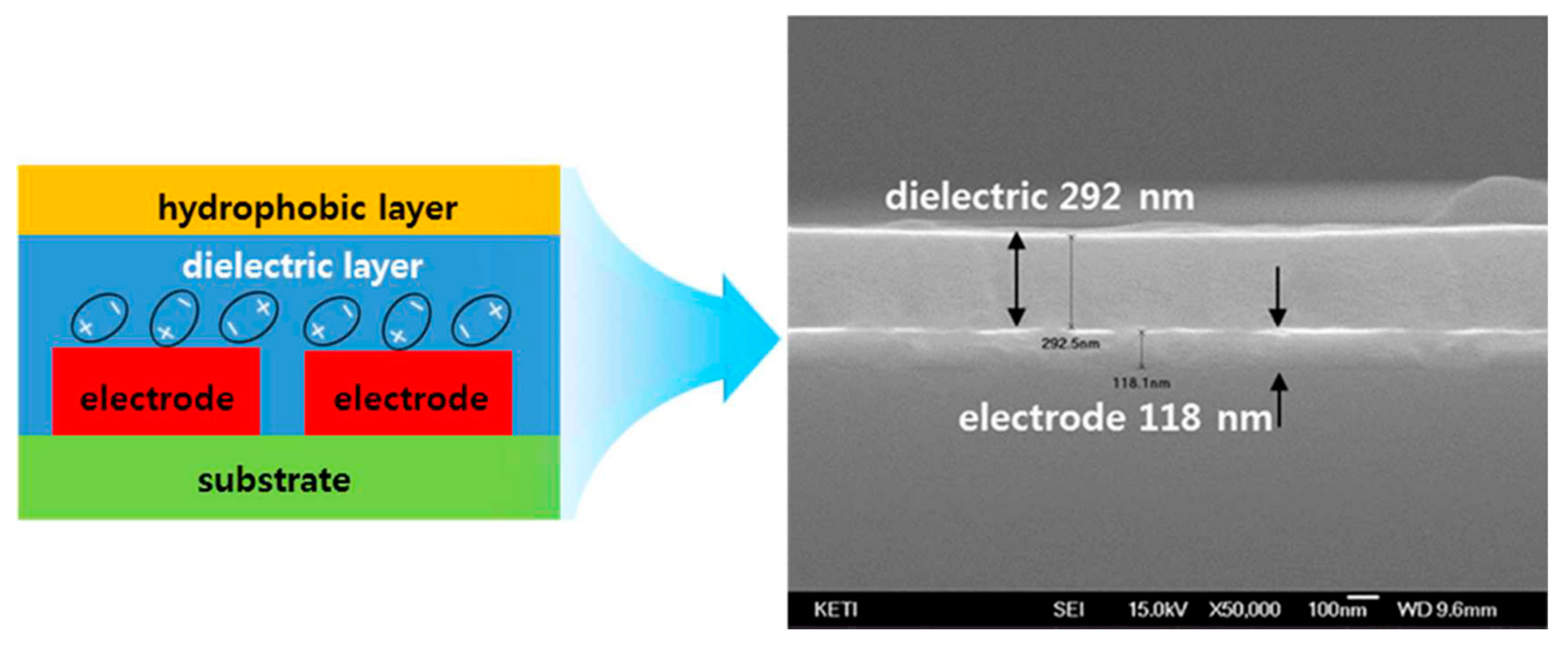 Proceedings 02 01393 g002