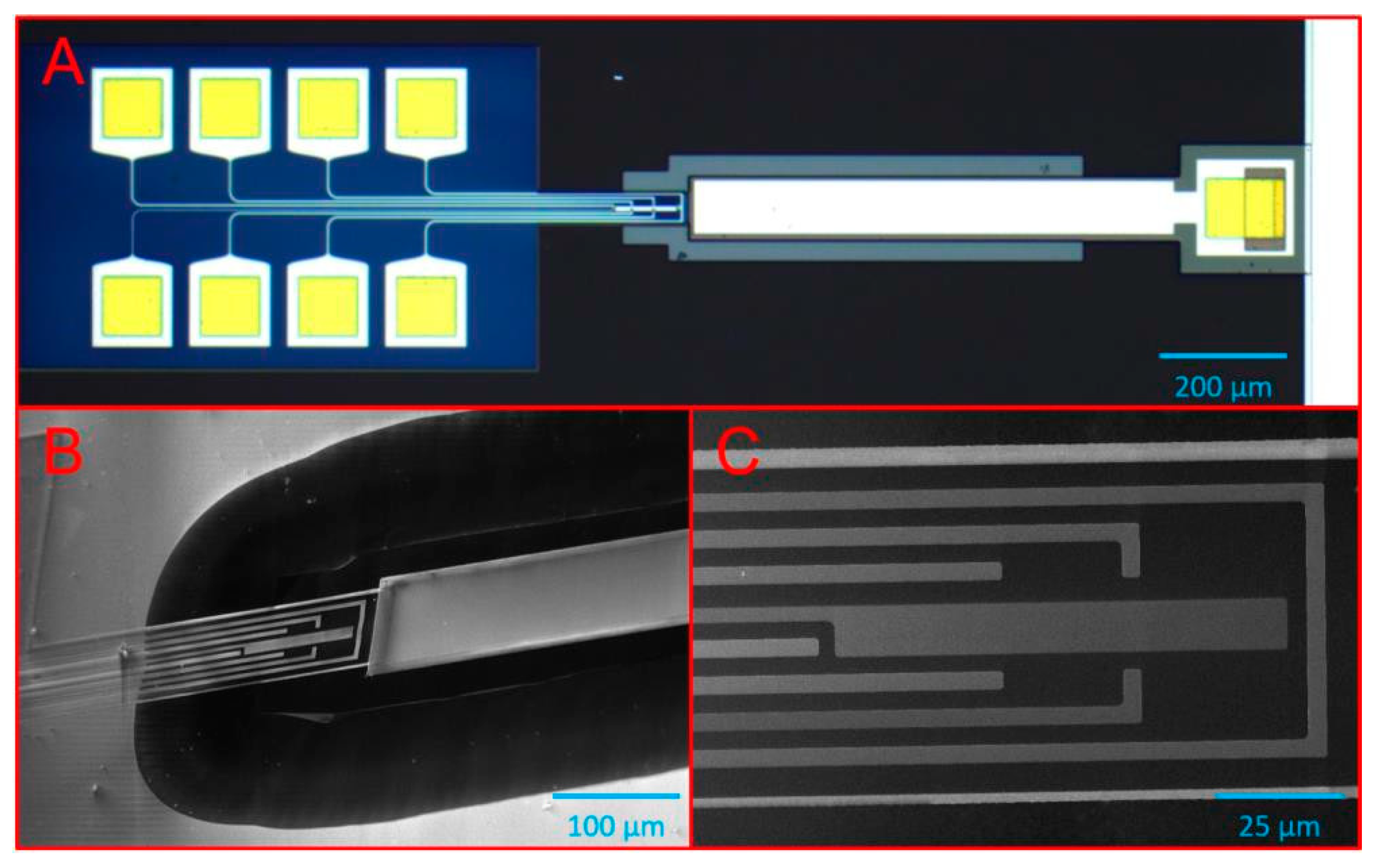 Proceedings 02 01513 g004