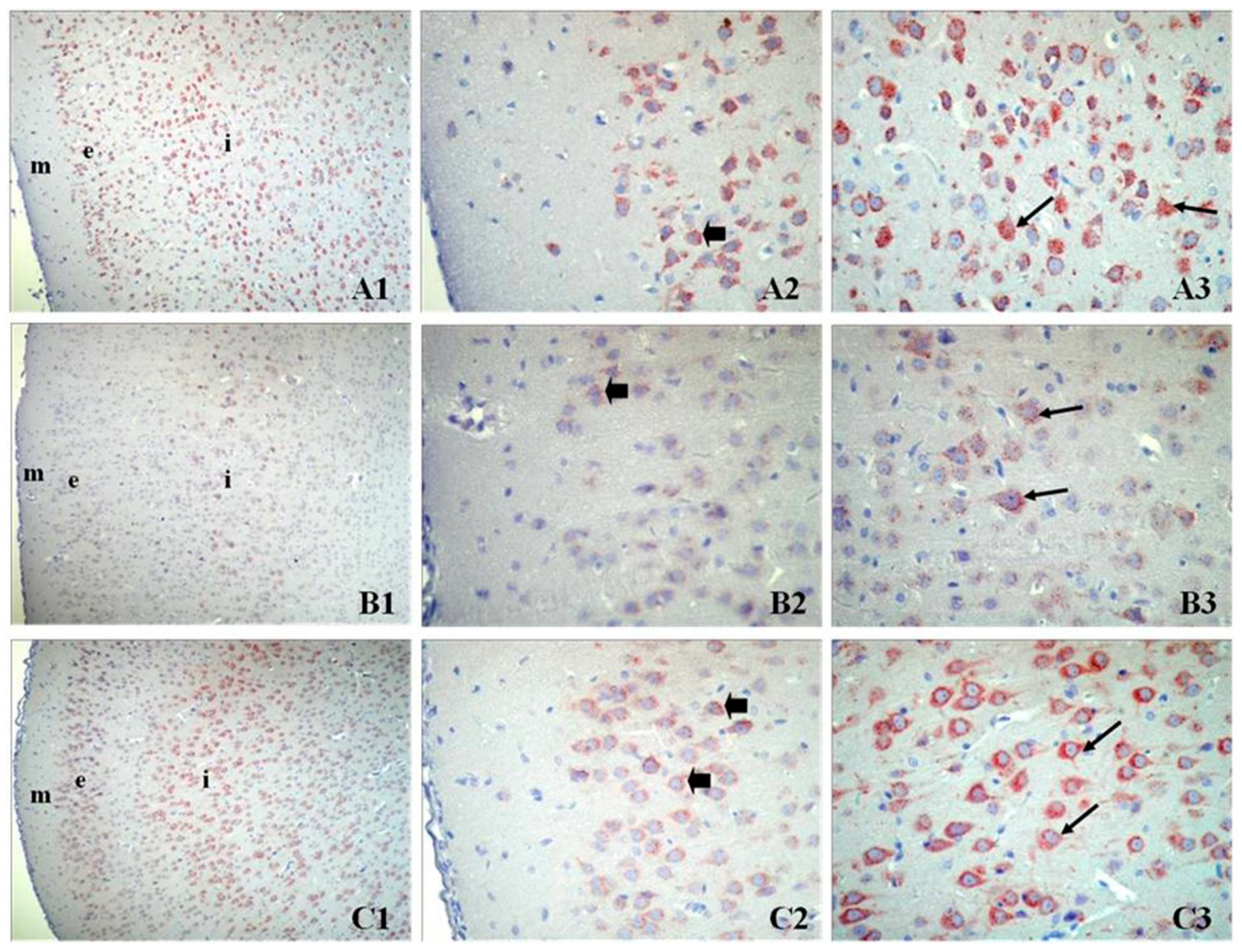 Proceedings 02 01545 g001