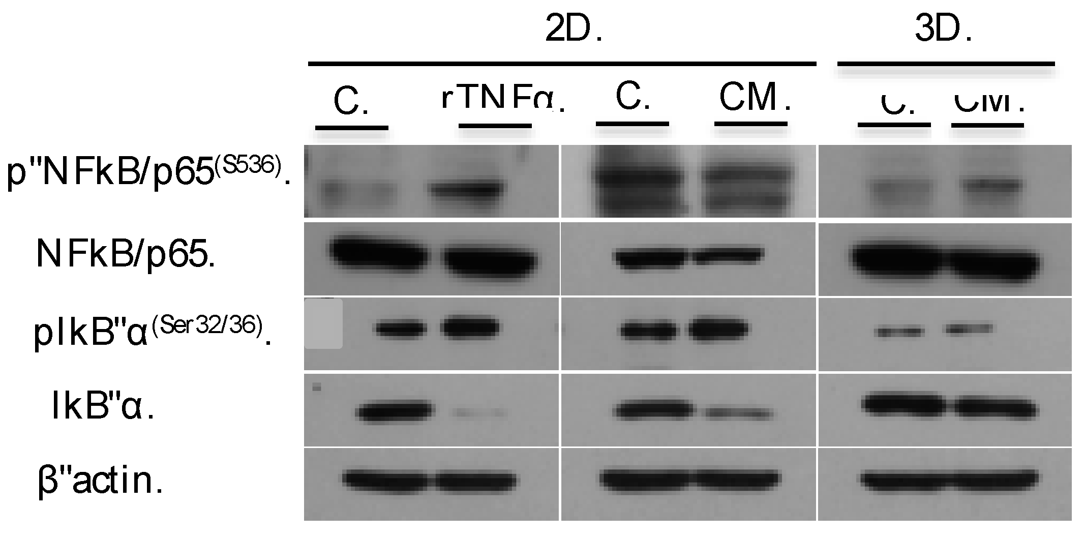 Proceedings 02 01555 g002